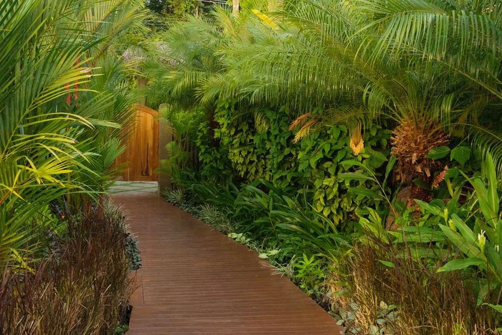 Casa Chameleon Hotel Mal Pais - Adults Only Playa Santa Teresa  Съоръжения снимка
